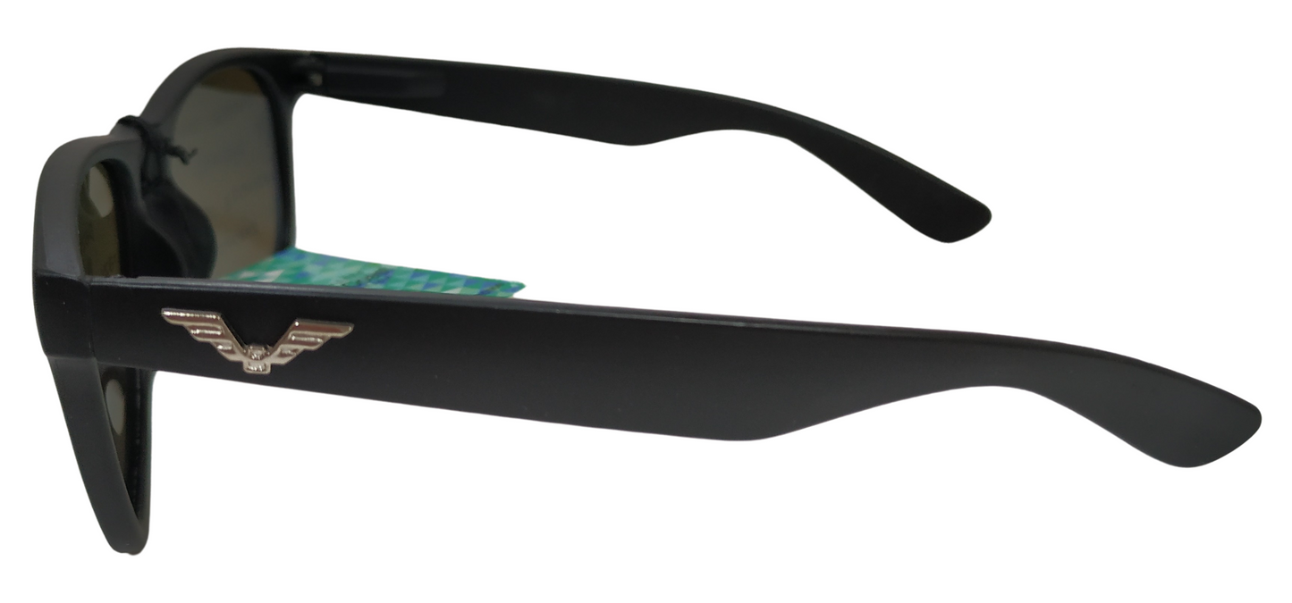 Classic Sunglasses Black Frame Polarized